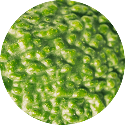 CÔNG TY TNHH JAPAN PACK SYSTEM VIỆT NAM